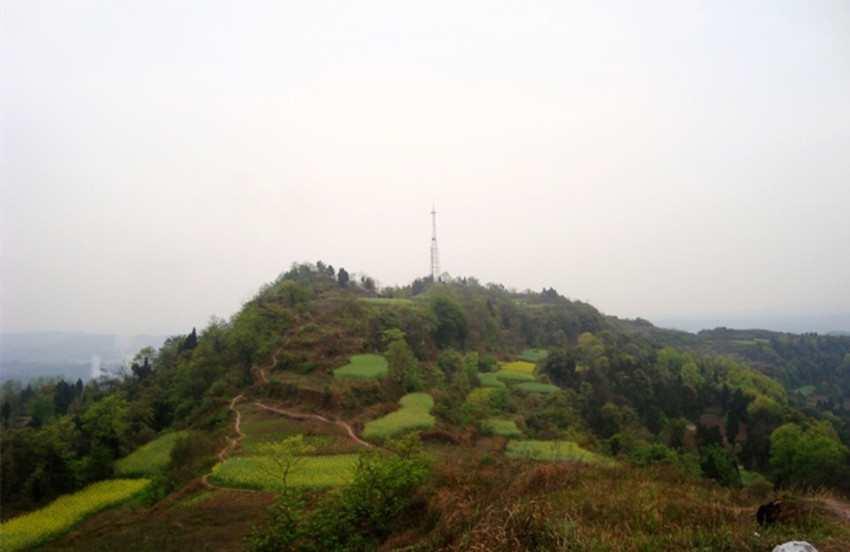 鱼龙乡
