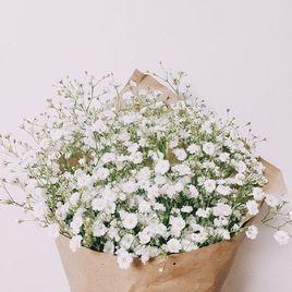 幸運(yùn)花