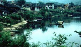 曹村