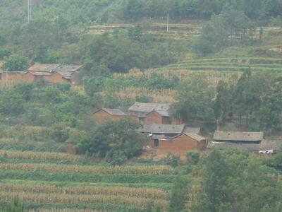 后落村