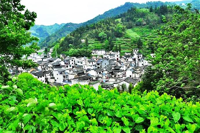 定潭村