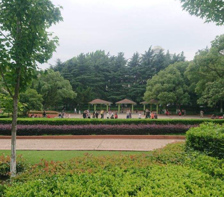 黃渡公園