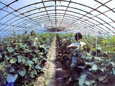 農(nóng)用高聚物