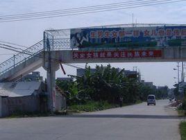 溪口鄉(xiāng)