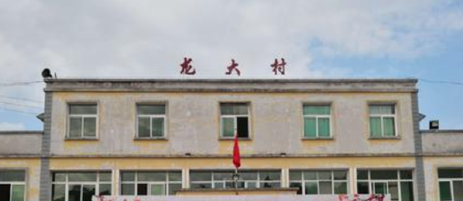 龙大村