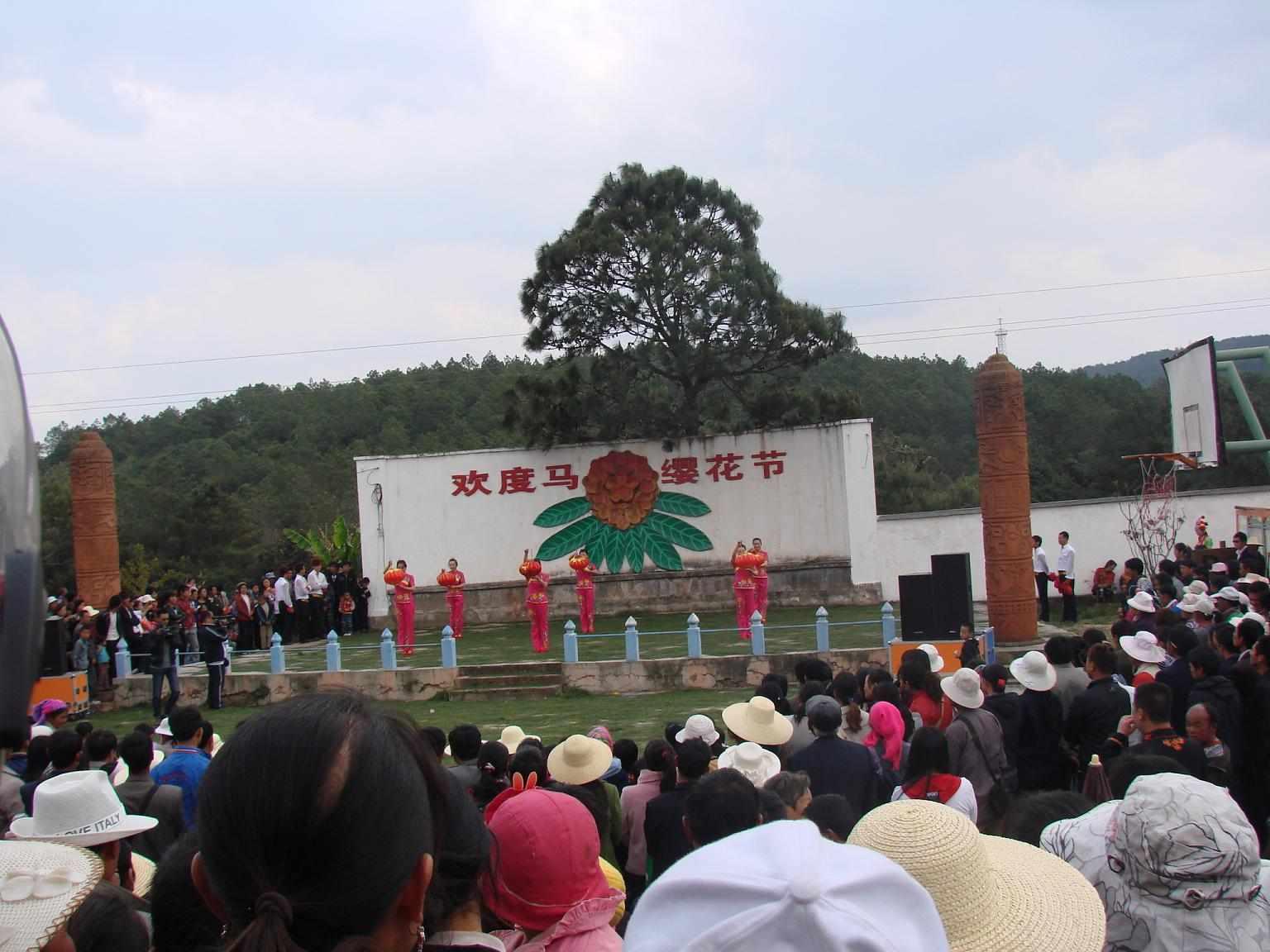 馬櫻花節(jié)