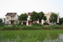 交通村