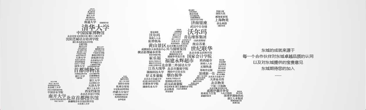 杭州东城电子有限公司