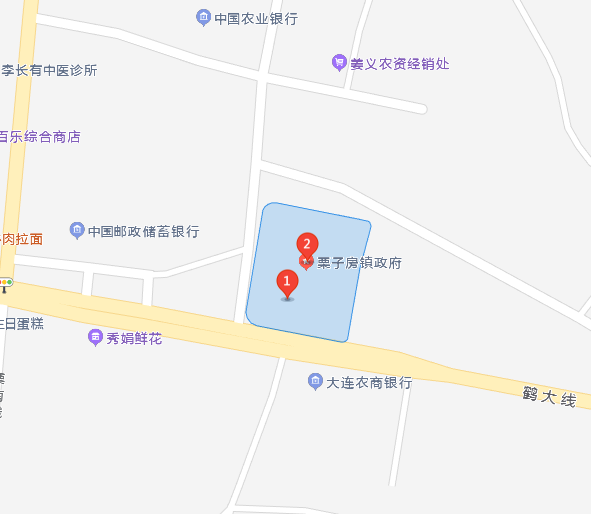 辽宁省大连市庄河市辖镇）