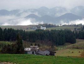 白泉村