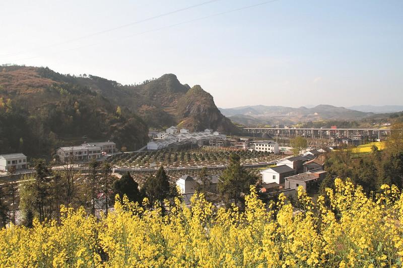 罗市镇