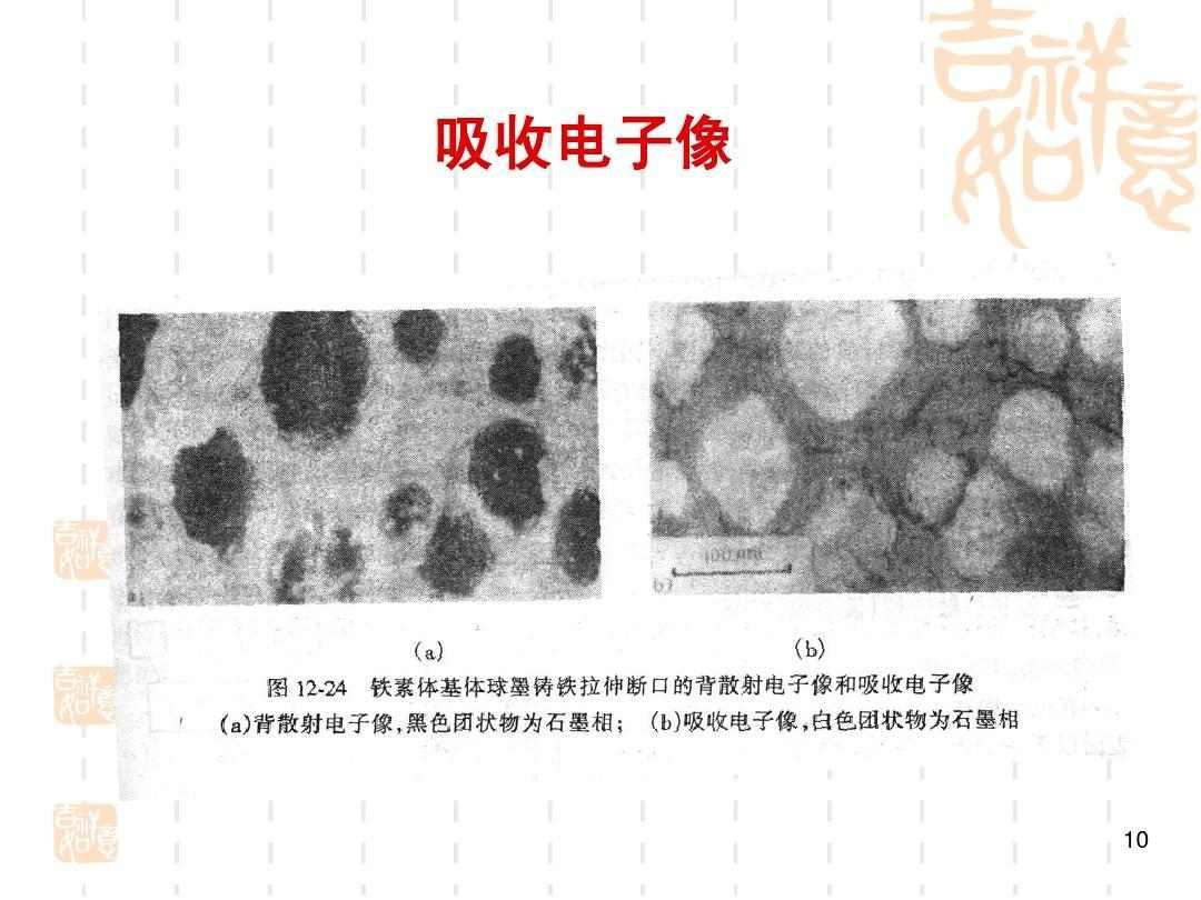 吸收电子像