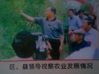 新戶