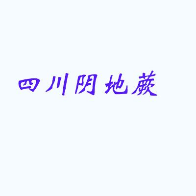 四川阴地蕨