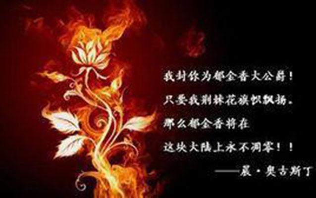 郁金香公爵