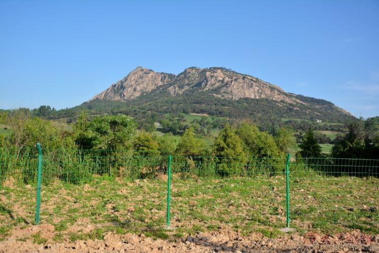 奎山鎮(zhèn)