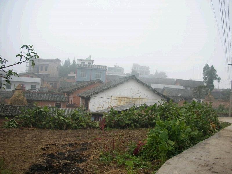 八家村