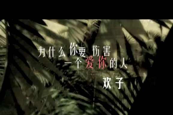 为什么你要伤害一个爱你的人