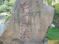 野马浜