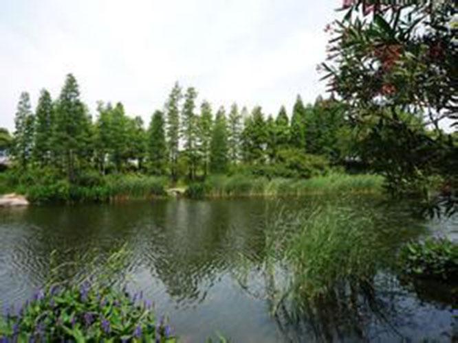 江湾公园
