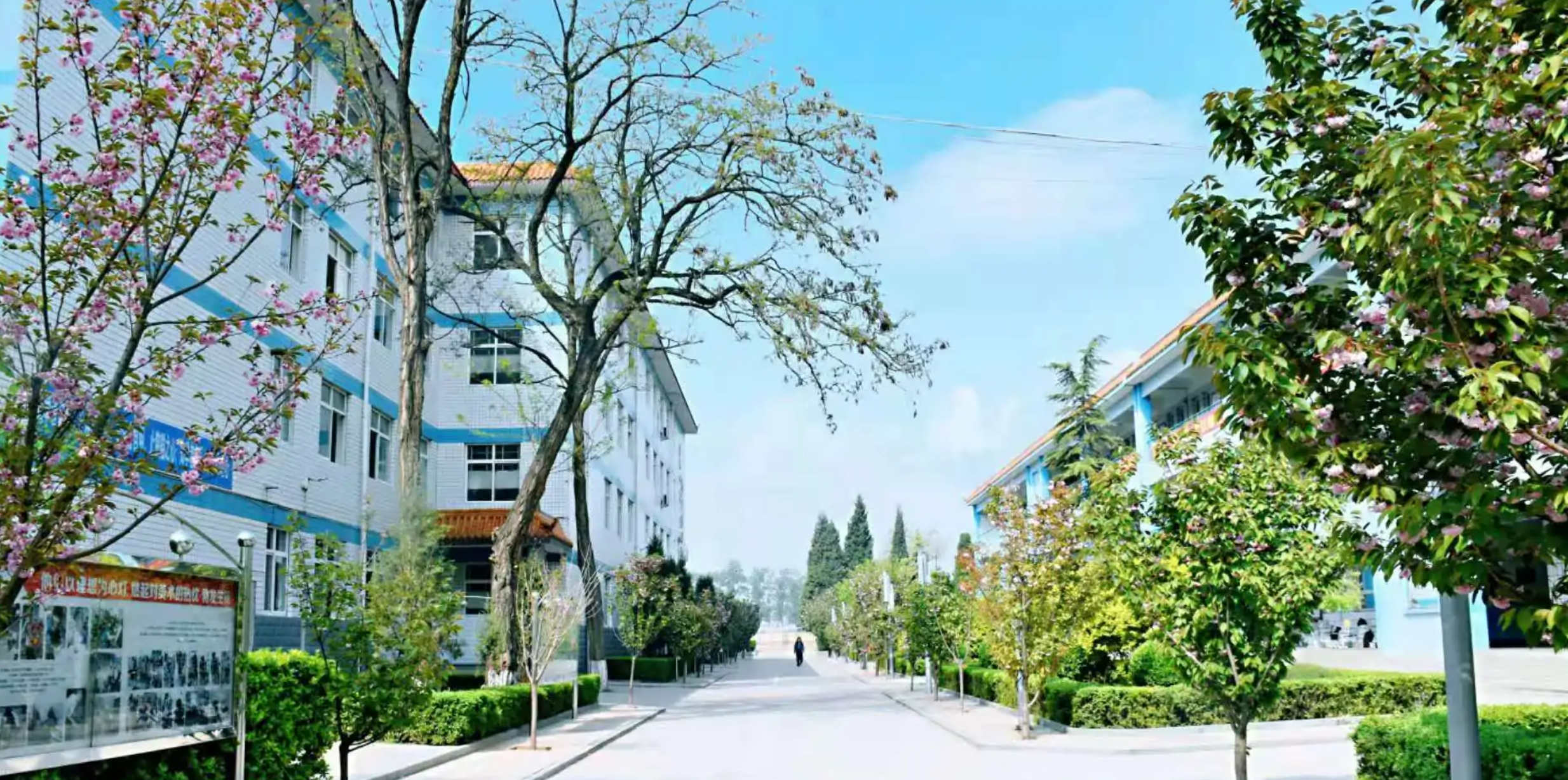 巩固庄中学