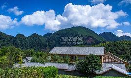 西溪村