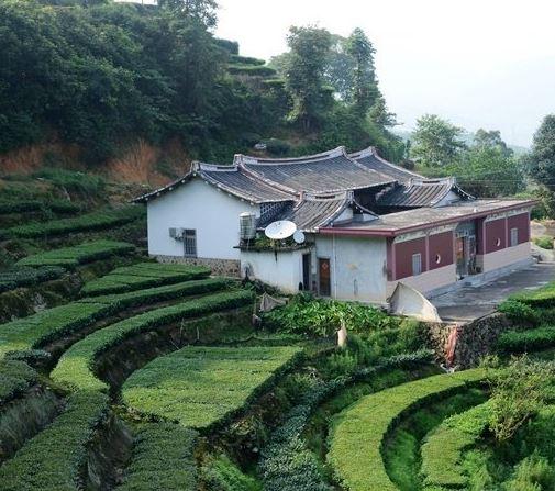 新坂村