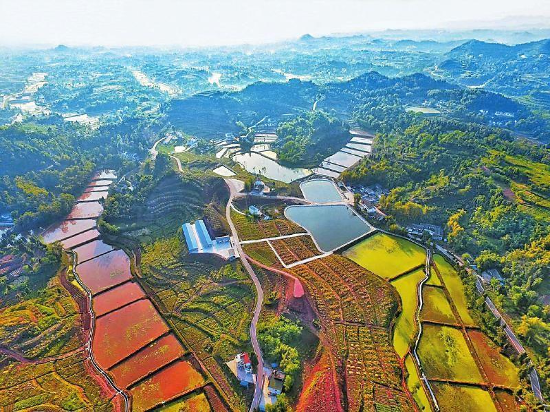 岳池平原
