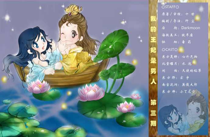 我的王妃是男人