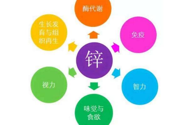 锌宝