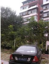北街小区