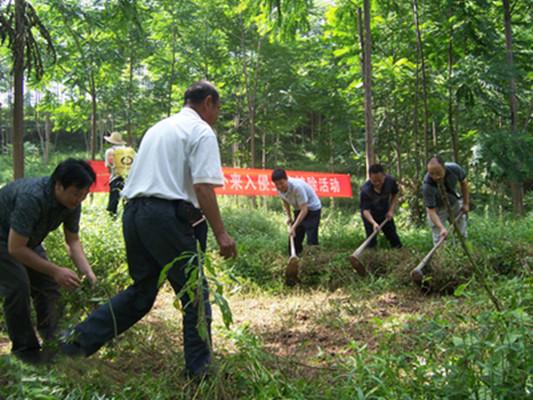 豚草生物防治技術(shù)