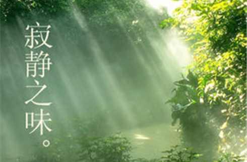 不忘露珠的寂靜之味
