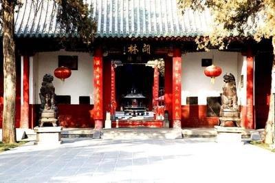 皂角树村