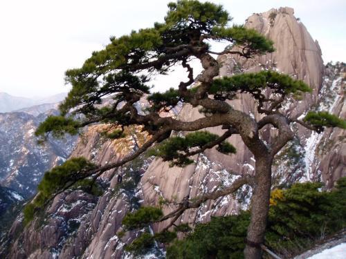 黃山游記