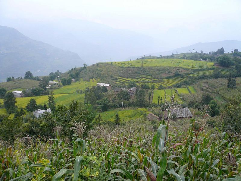 雄魁村