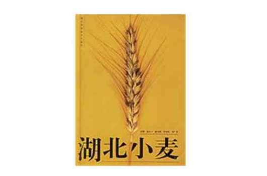 湖北小麥