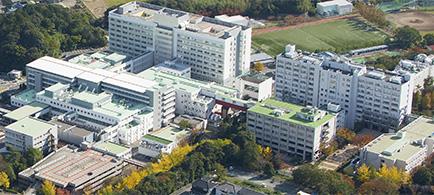 濱松醫(yī)科大學(xué)