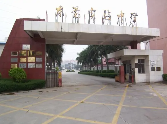 东莞实验中学