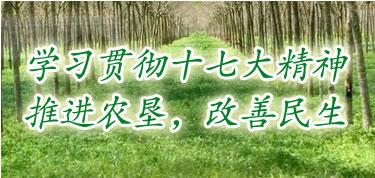 国营红光农场