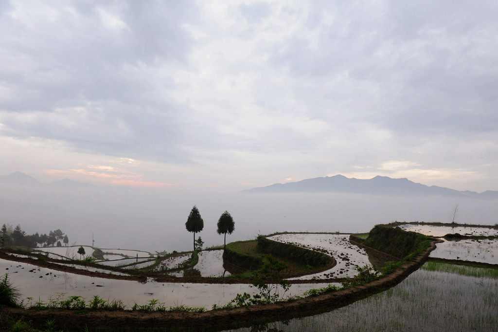 郑山村