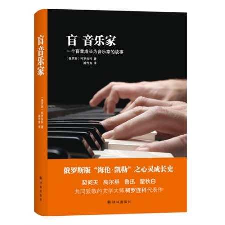 盲音乐家