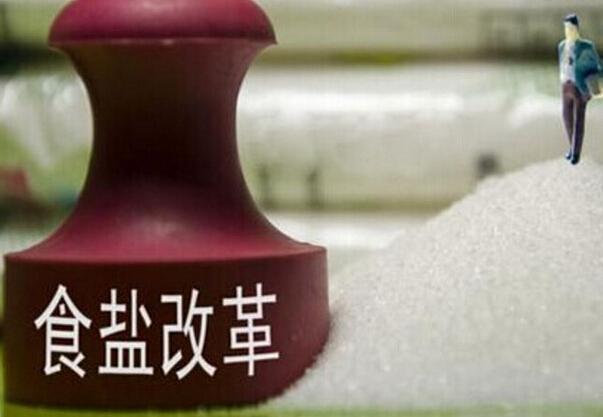 鹽業(yè)體制改革方案