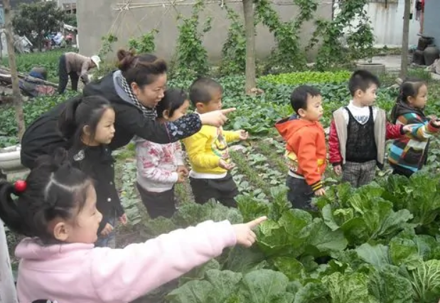 生成课程