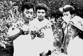 生物教學(xué)法