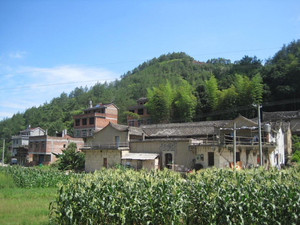 三桥村