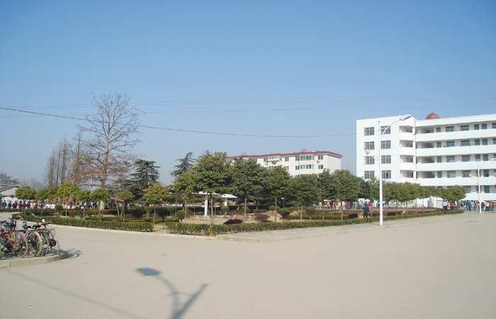 安徽省庐江盛桥中学