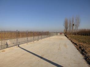 德仁務(wù)前街村