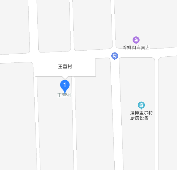 王营村