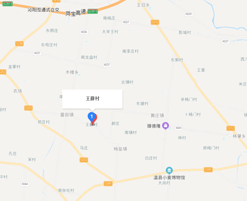 王薛村
